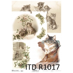 Papier ryżowy A4 R1017 kot w bucie